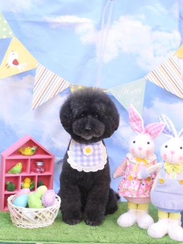 20240302ラブくん